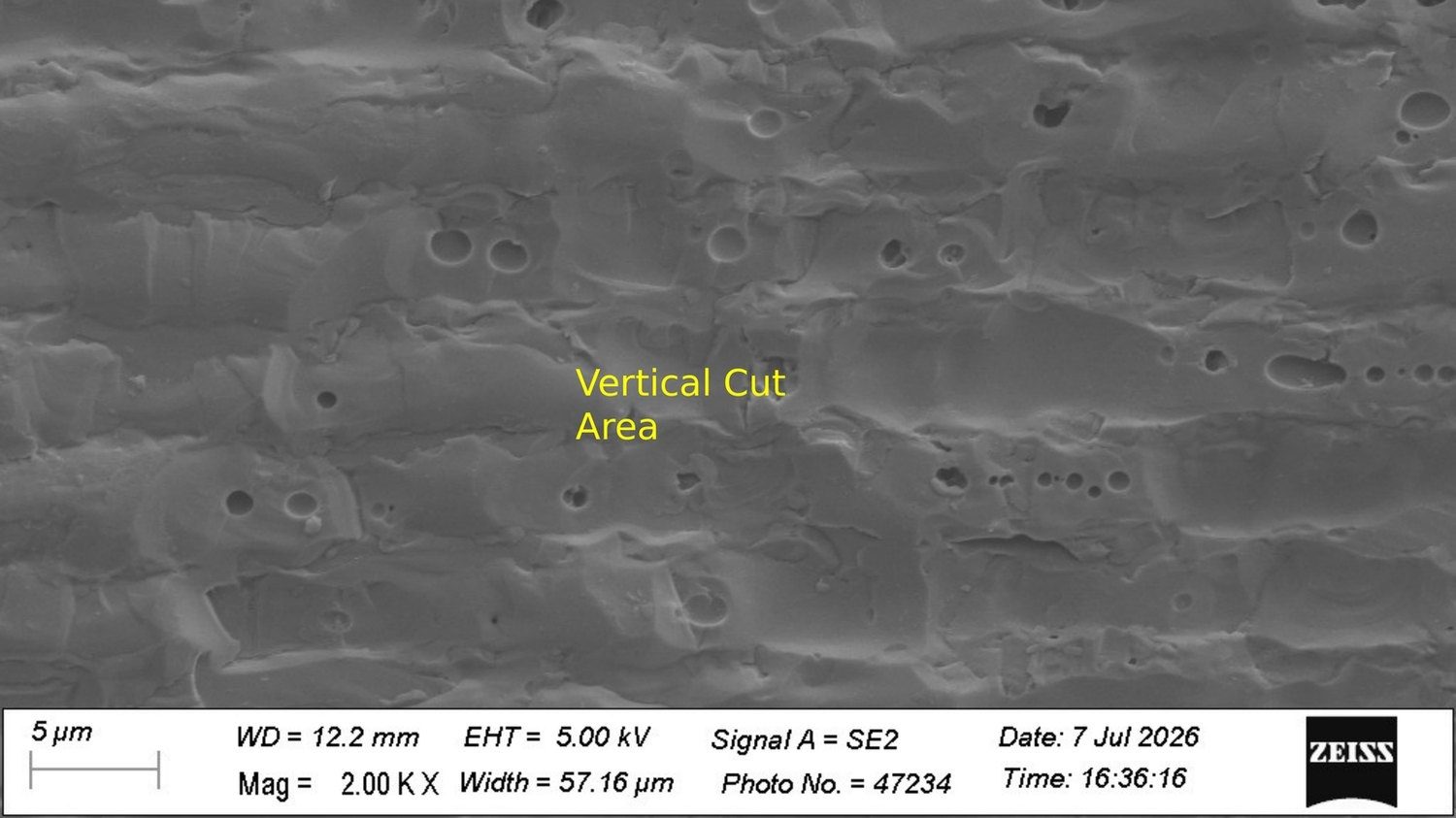 SEM of the cut wall at 2,000 times