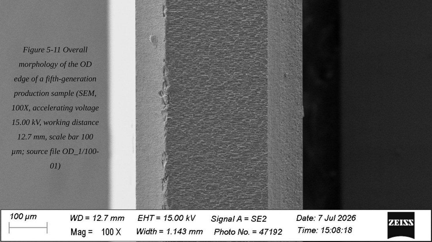 SEM of the outer edge at 100 times