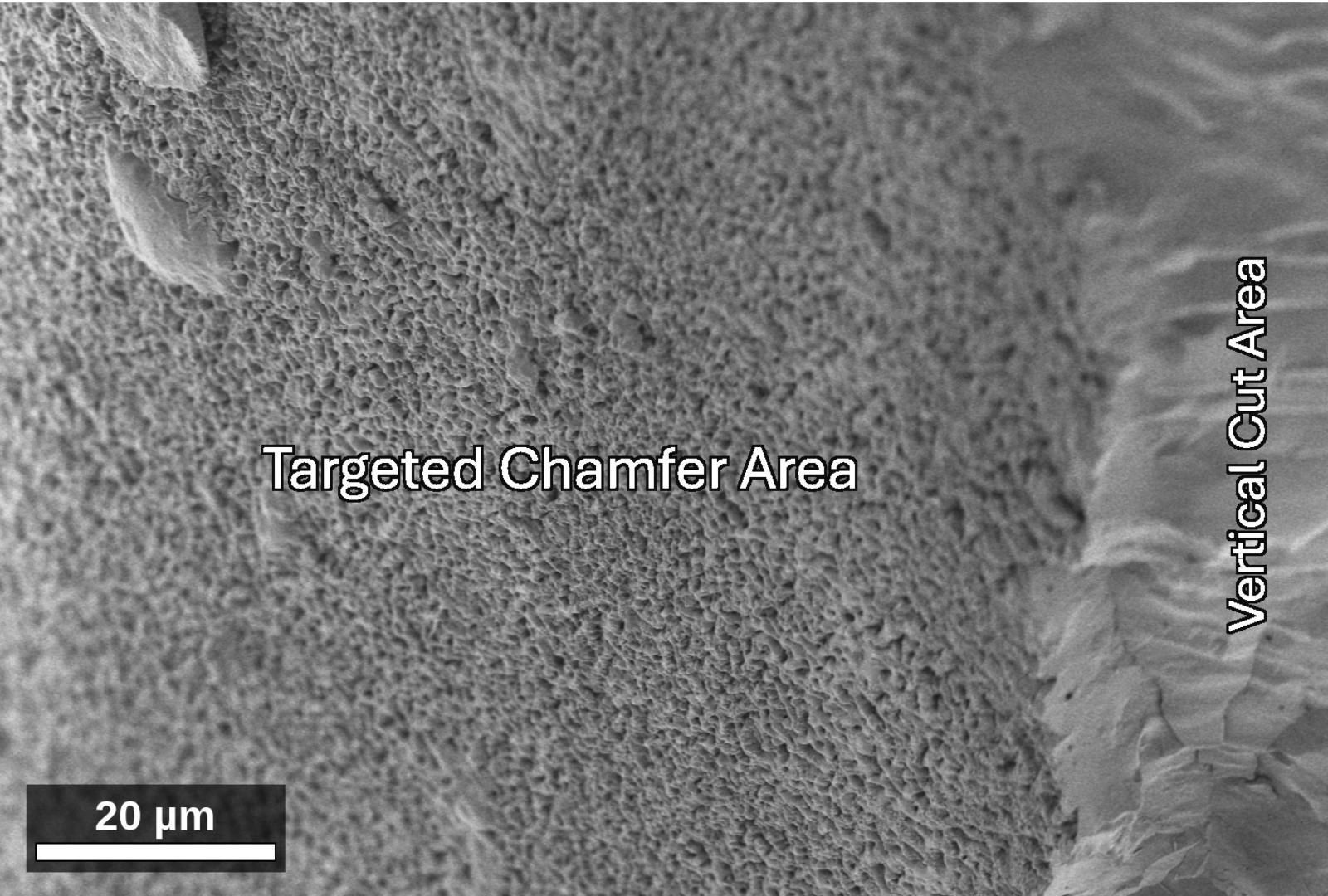 SEM of the chamfer face at 1,000 times